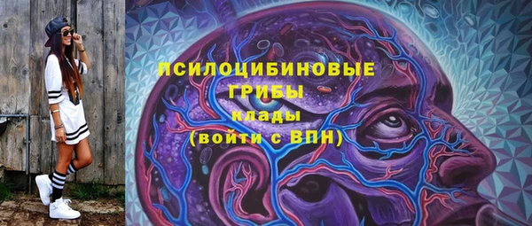эйфоретик Алексин