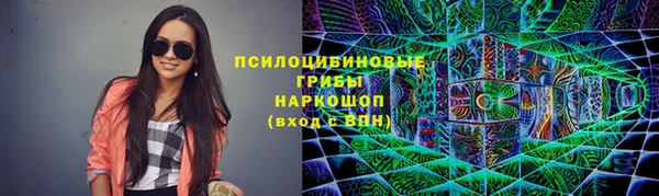 эйфоретик Алексин